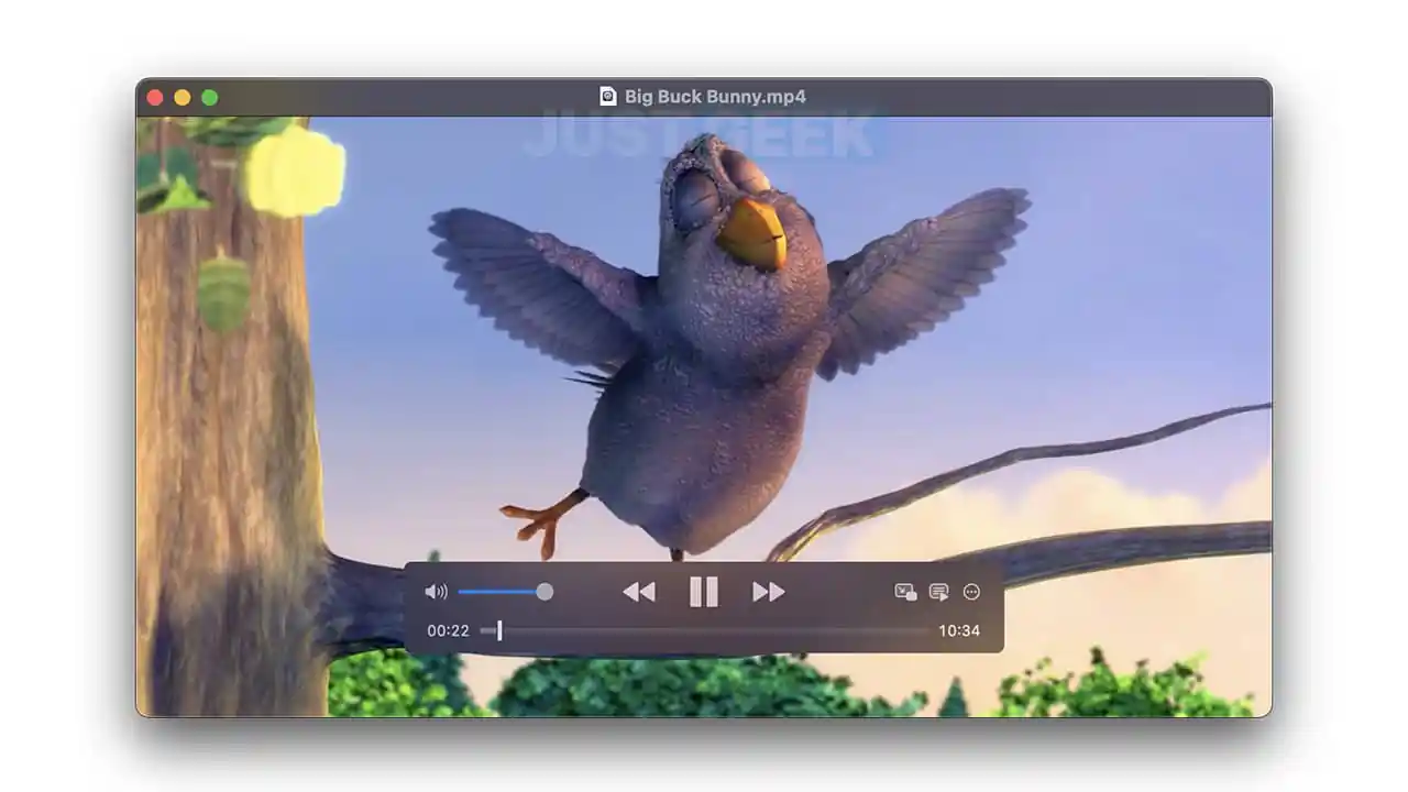 un lecteur multimédia moderne et open source pour macOS