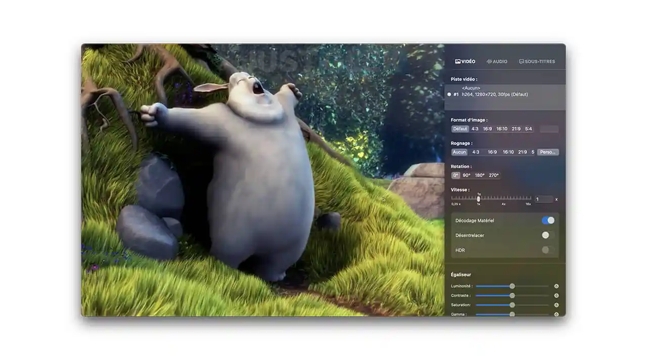 un lecteur multimédia moderne et open source pour macOS