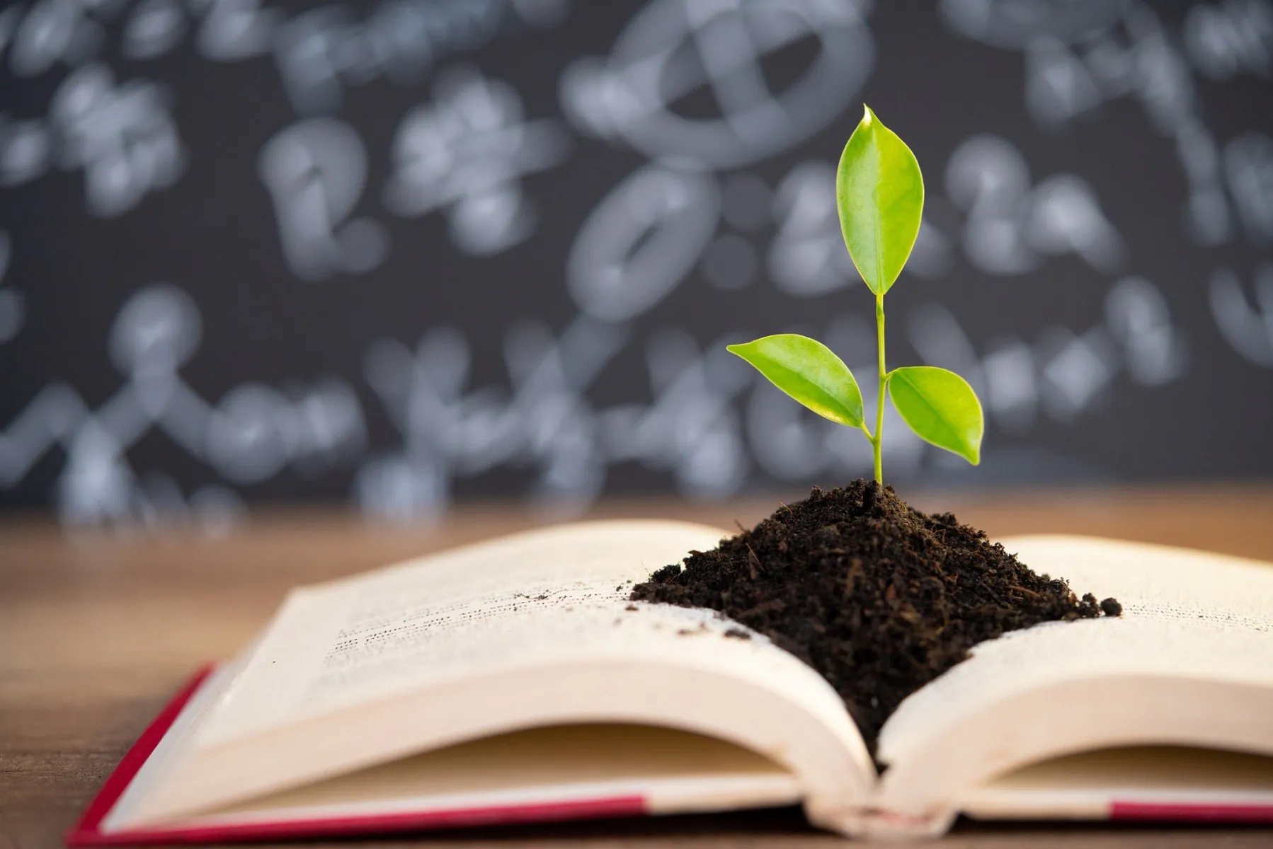 Journée mondiale de la propriété intellectuelle Twitter, plante, livre