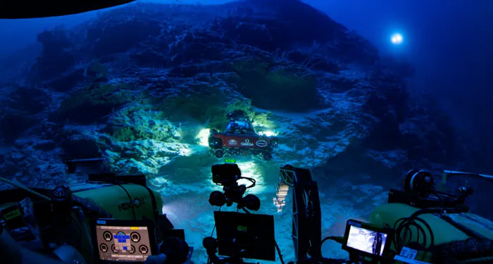Une nouvelle "oasis de vie" remplie de requins voraces se cache sous l'océan des Maldives
