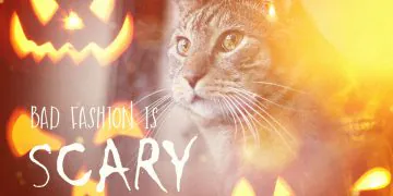 1667197144 Dimanche Avec Des Onglets Le Chat Mascotte De Blog De