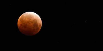 La "Beaver Blood Moon" se lève le 8 novembre. Voici comment regarder.