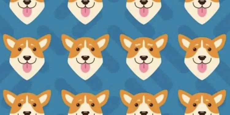 Serez-vous assez observateur pour trouver l'intrus parmi ces corgis ?