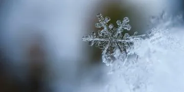 1668652899 La Neige Arrive Cette Semaine Dans Ces Departements