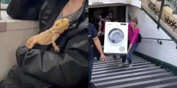 1668737130 Il Y A Vraiment Des Fous Dans Le Metro Video