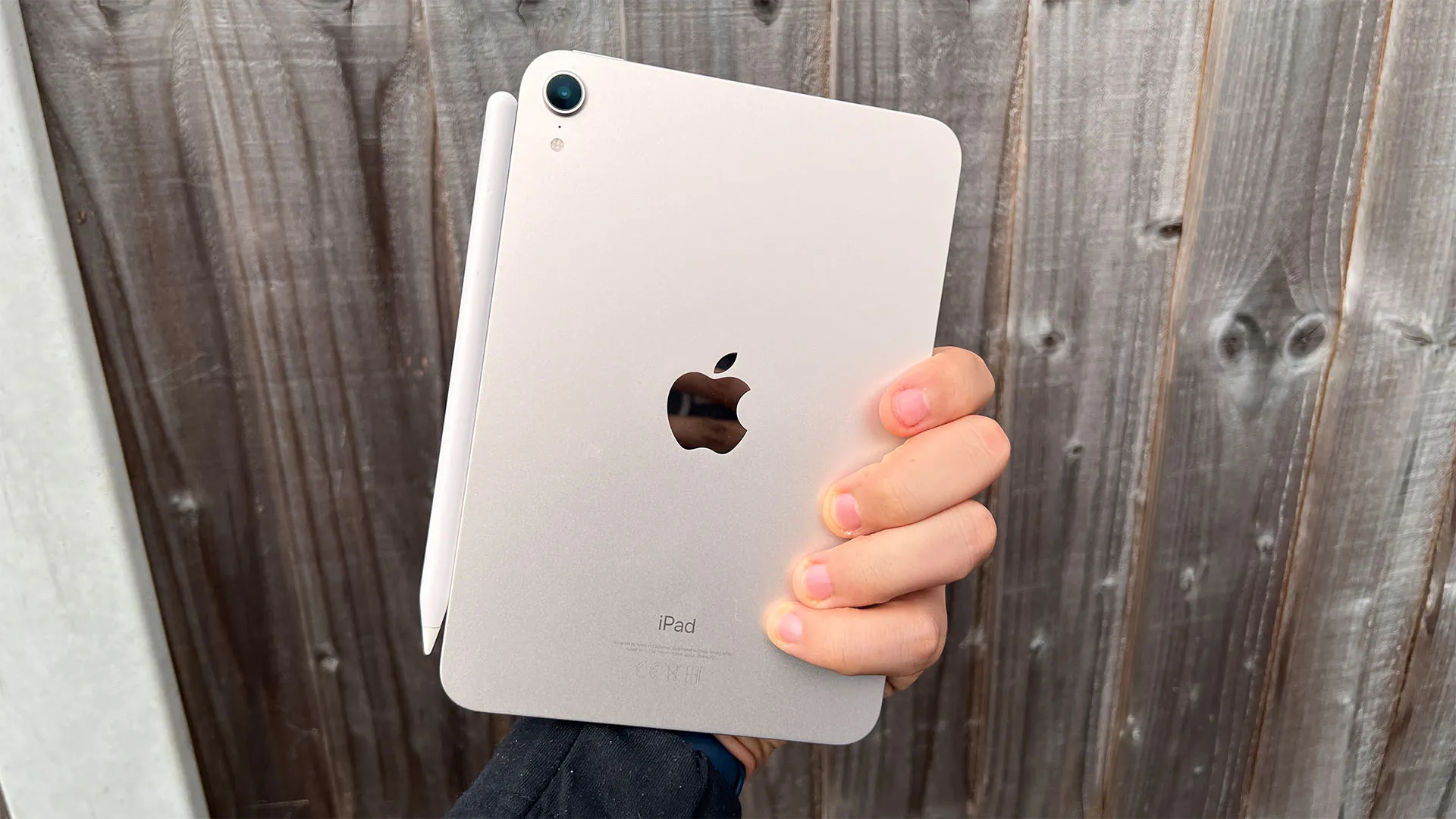 Images en gros plan de la tablette iPad Mini (2021)