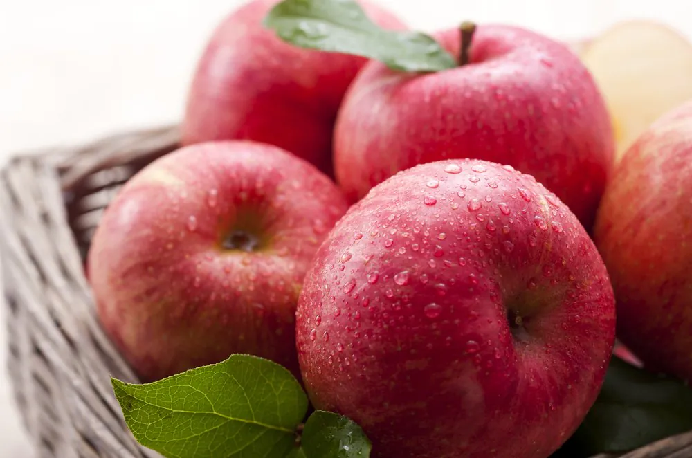 Condens Op Appel, Nourriture, Fruit, Aliments naturels, Aliment de base, Mcintosh