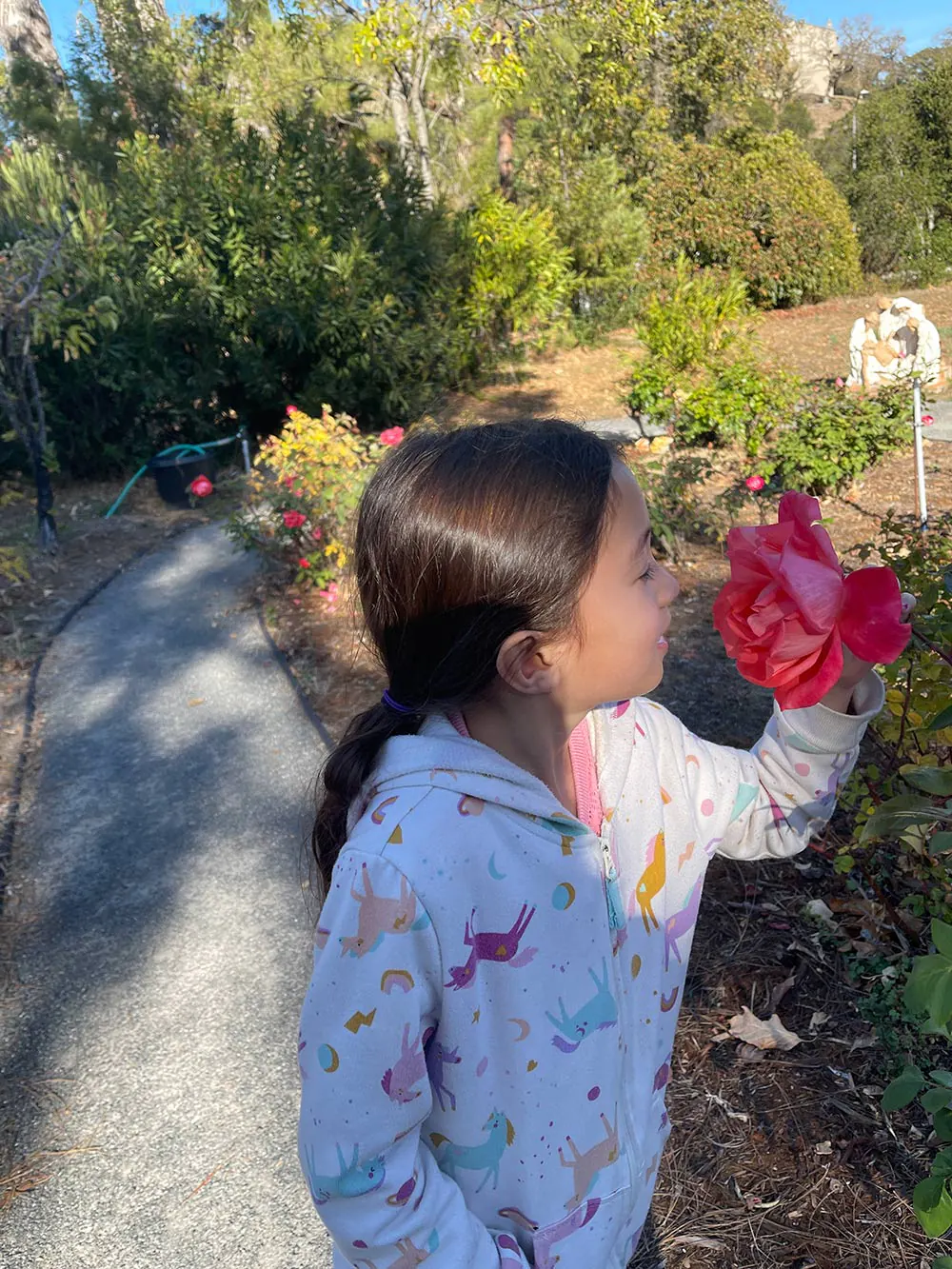 Joyeux Thanksgiving et promenade d'automne sous le soleil de Californie