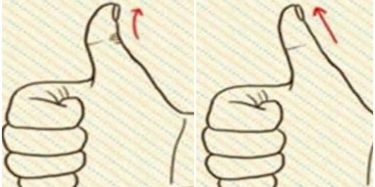 Ce que la forme de votre pouce révèle sur votre personnalité !