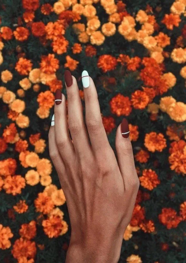 Pétale, Des ongles, Ongles d'automne mignons, Main, Fleur, Feuille, Plante, Orange, Gens dans la nature, Geste