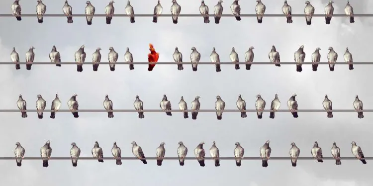 Les "compétences folles", ces compétences enseignées dans les grandes écoles d'ingénieurs pour "développer une forme de subversion chez nos élèves"