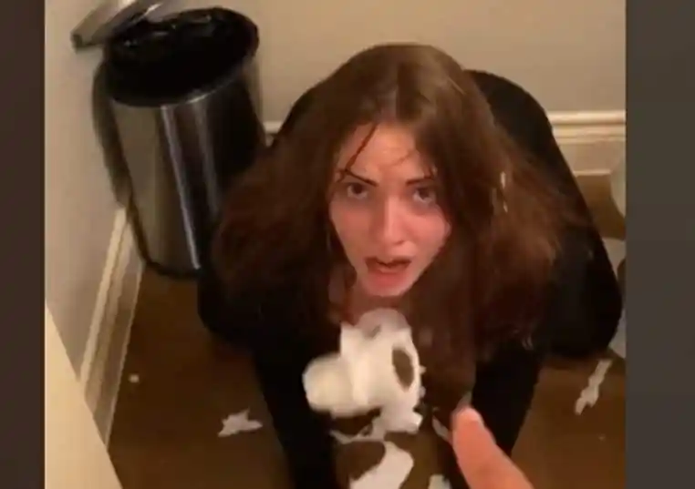 Payé 10 000 € pour vivre un quotidien de chien sur les réseaux