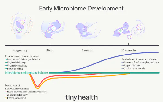 Le tout premier test de santé intestinale pour les futurs parents et les nourrissons