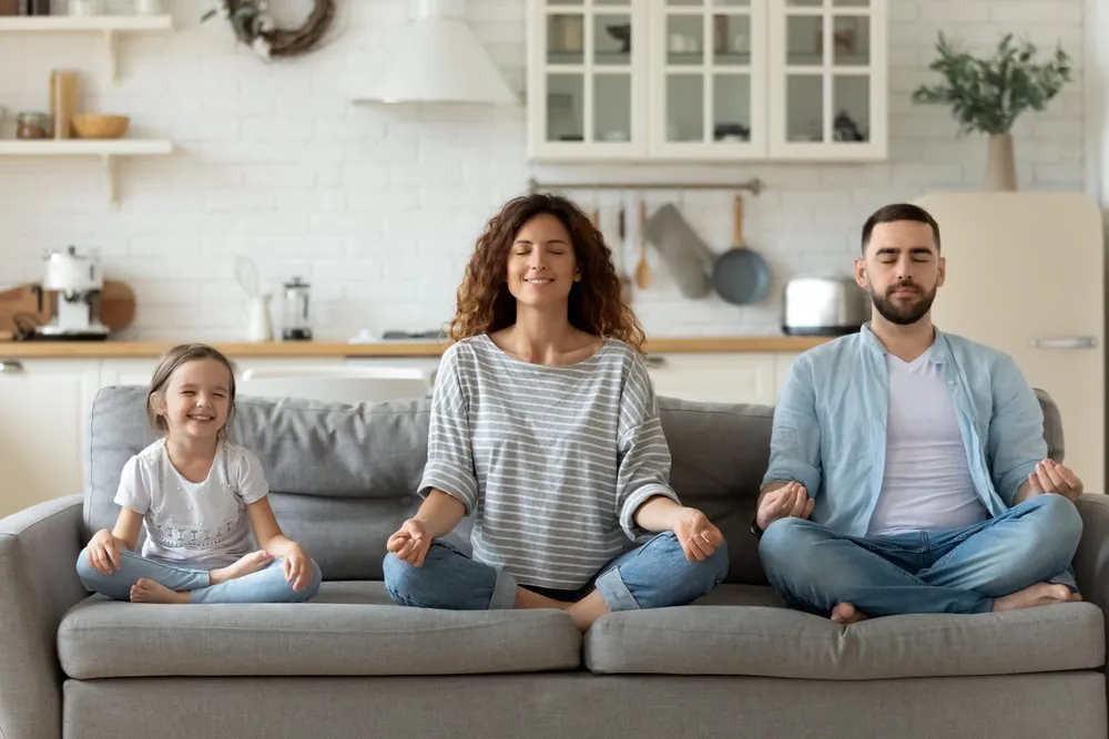 Relajación En Casa, Sourire, Confort, Canapé, Manche, Éclairage, Fenêtre, Design d'intérieur