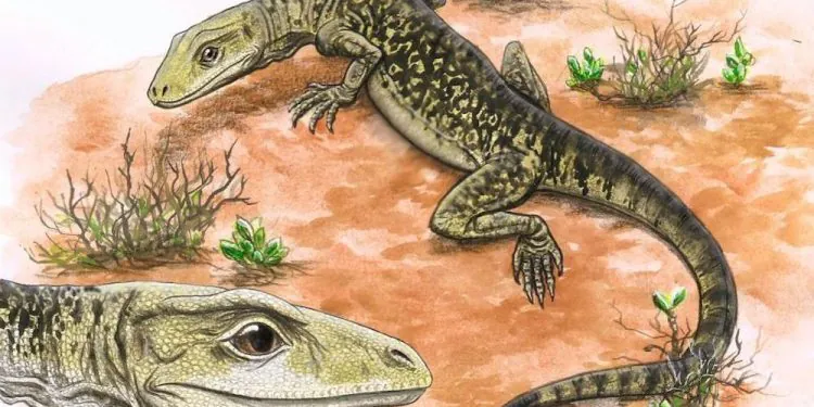 Un ancien lézard avec des dents comme des couteaux de boucher "recalibre tout le tralala" de l'évolution des reptiles