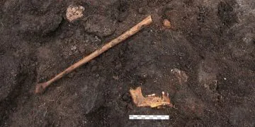 Un «corps de tourbière» vieux de 5 000 ans découvert au Danemark pourrait être une victime de sacrifice humain