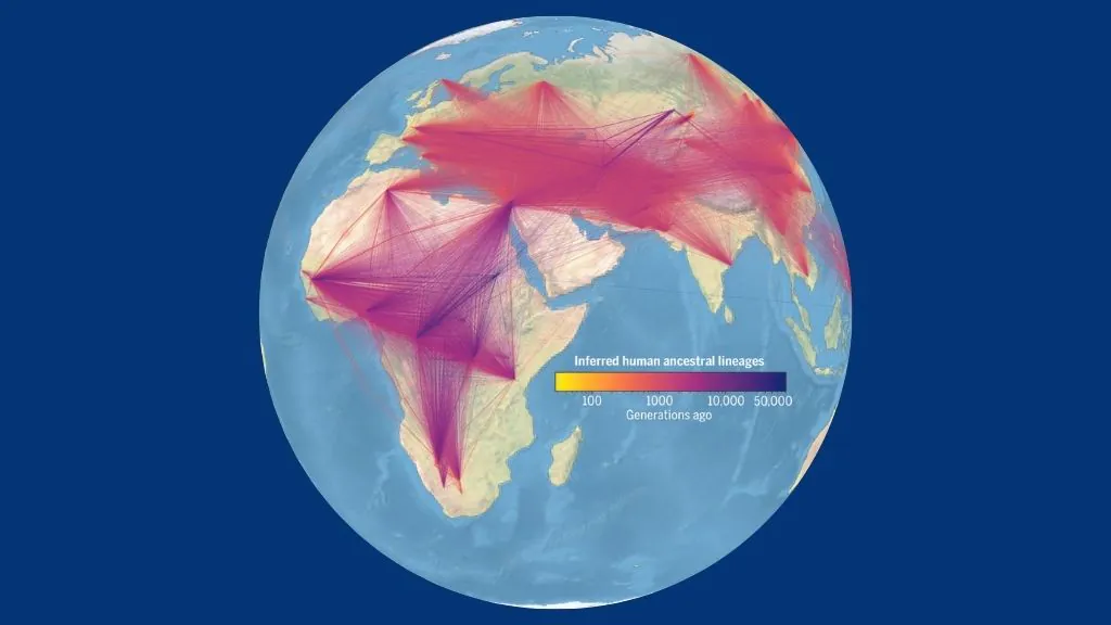 Schéma de la Terre avec des mouvements inférés d'ancêtres humains tracés dessus.