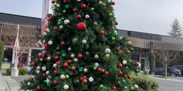 Joyeux noël!  - Blog maquillage et beauté