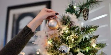 Quelle est la date idéale pour installer votre sapin ?