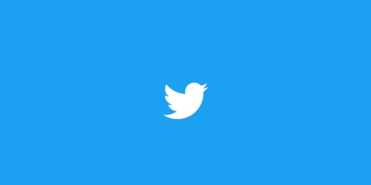 Twitter Rolls Out Ability to Upload 60 Minute Long Videos for Blue Subscribers: All Details
