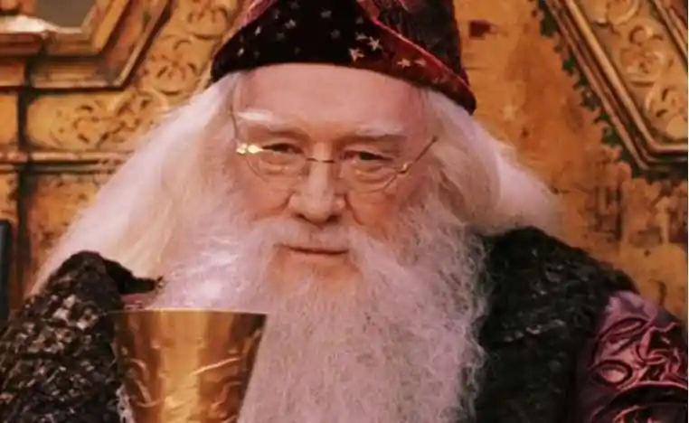 harry potter albus dumbledore