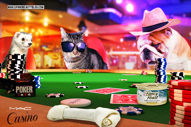 Dimanche avec des onglets le chat, mascotte de blog de maquillage et de beauté, vol.  743
