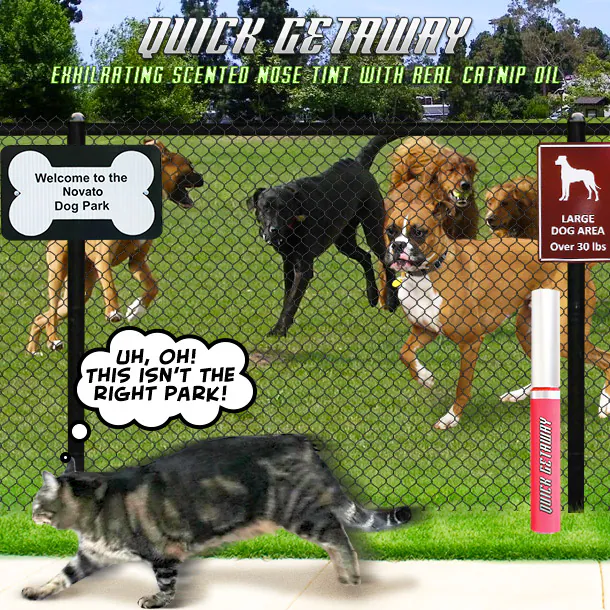 Dimanche avec des onglets le chat, mascotte de blog de maquillage et de beauté, vol.  743