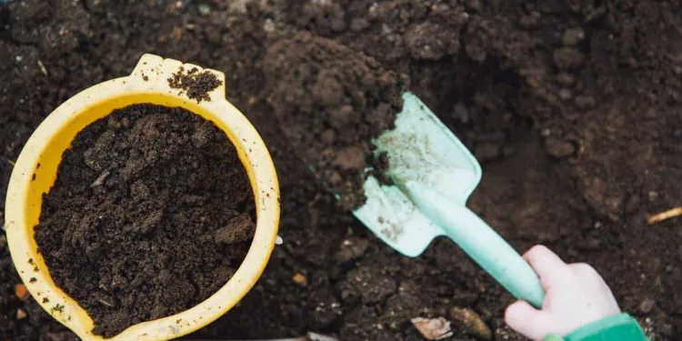 1672689602 Une Personne Decedee Peut Desormais Servir De Compost