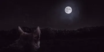 Le "Wolf micromoon" complet se lève le 6 janvier. Voici comment regarder.