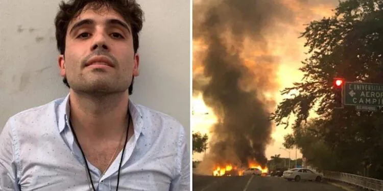 le fils de "El Chapo", a été arrêté (vidéo)