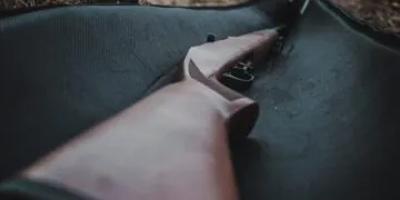 #image_title