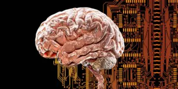 Un mystérieux réseau cérébral pourrait être à la base de nombreux troubles psychiatriques