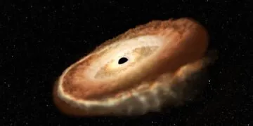 Un trou noir a "spaghettifié" une étoile en forme de beignet, et les astronomes ont capturé la rencontre sanglante