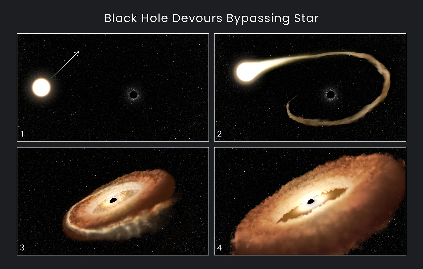Cette séquence d'illustrations d'artistes montre comment un trou noir peut dévorer une étoile qui la contourne.  1. Une étoile normale passe près d'un trou noir supermassif au centre d'une galaxie.  2. Les gaz extérieurs de l'étoile sont attirés dans le champ gravitationnel du trou noir.  3. L'étoile est déchiquetée lorsque les forces de marée la séparent.  4. Les restes stellaires sont attirés dans un anneau en forme de beignet autour du trou noir et finiront par tomber dans le trou noir, libérant une énorme quantité de lumière et de rayonnement à haute énergie.