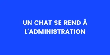 Un chat va à l'administration