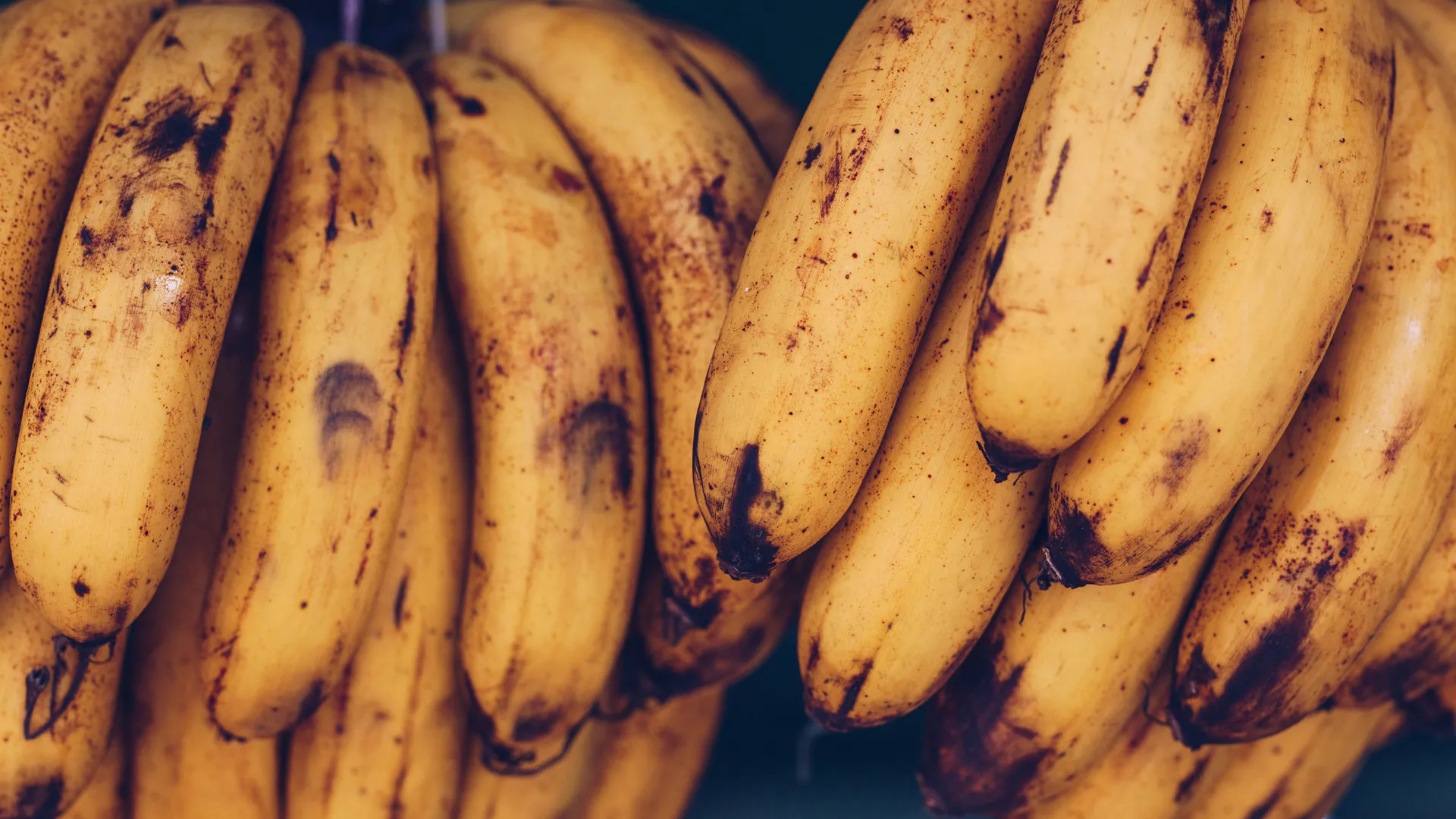 bananes trop mûres