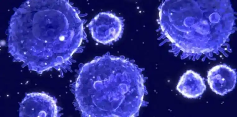 VIH SIDA médecine science santé maladie 