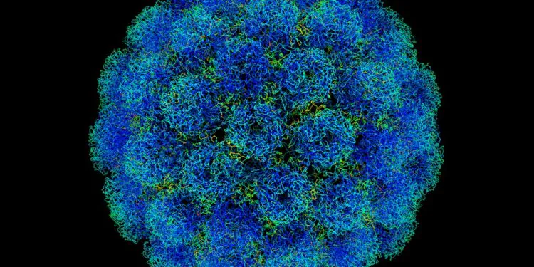 Une dose de vaccin à l'automne ? La nouvelle qui vient de tomber