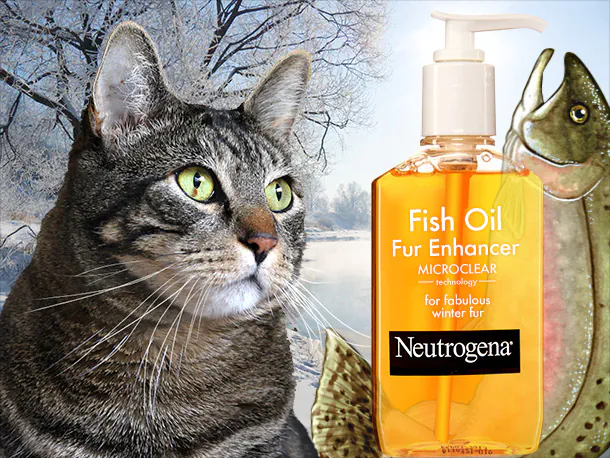 Dimanche avec des onglets le chat, mascotte de blog de maquillage et de beauté, vol.  750