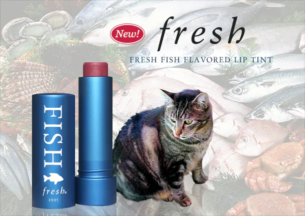 Dimanche avec des onglets le chat, mascotte de blog de maquillage et de beauté, vol.  750