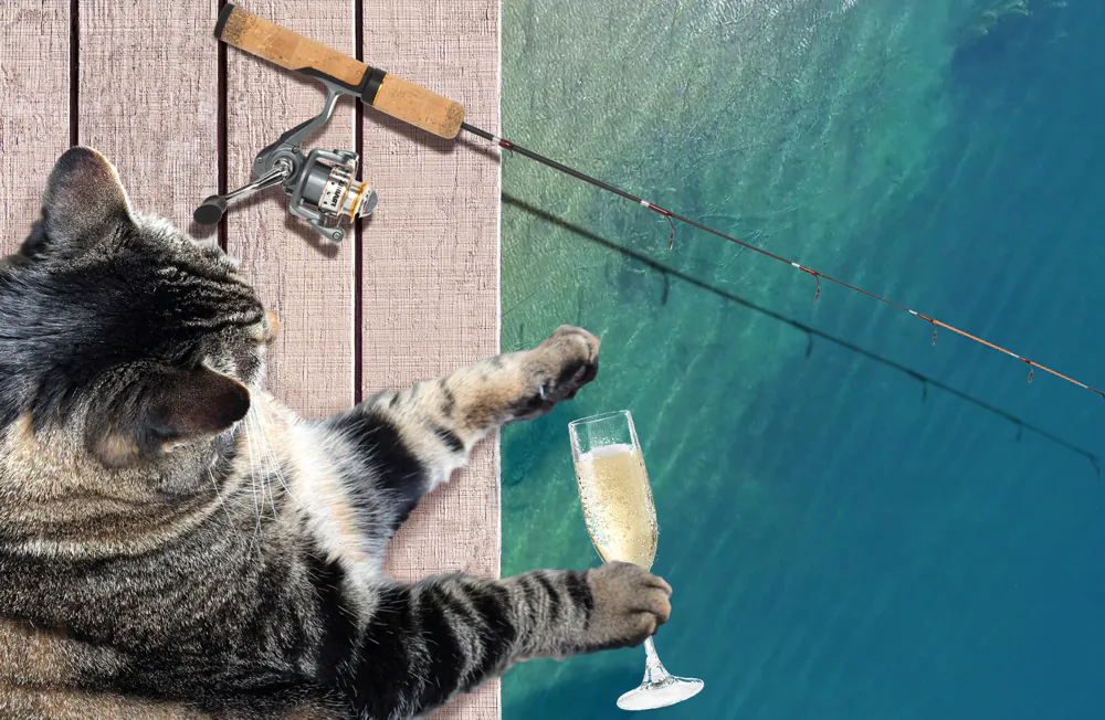 Dimanche avec des onglets le chat, mascotte de blog de maquillage et de beauté, vol.  750
