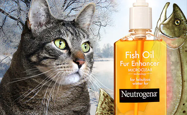 Dimanche avec des onglets le chat, mascotte de blog de maquillage et de beauté, vol.  750