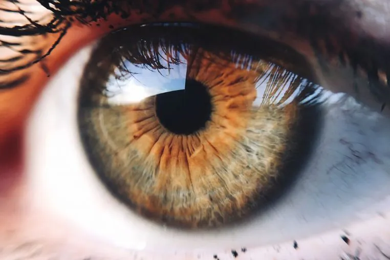 santé des yeux
