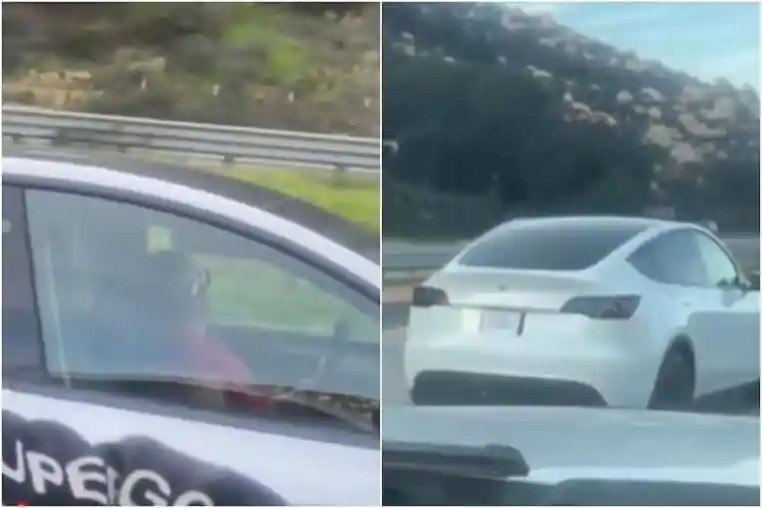 tesla dort