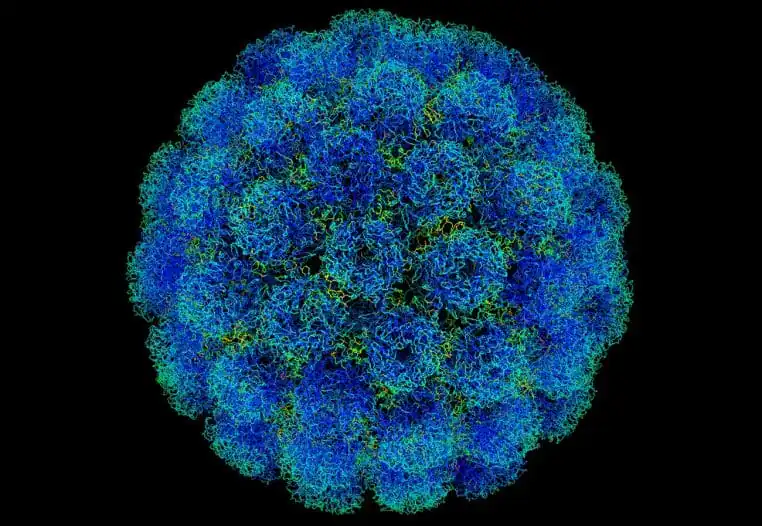 Une dose de vaccin à l'automne ? La nouvelle qui vient de tomber