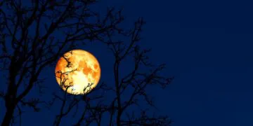 Regardez la «Worm Moon» complète se tortiller dans le ciel le 7 mars