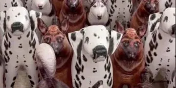Êtes-vous assez fort pour trouver le vrai chien sur cette photo ?