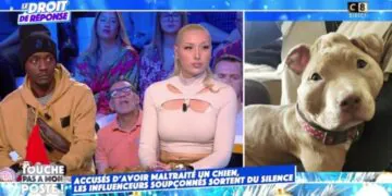 Suite à l’accusation de torture infligée à un chiot, Rop risque un an de prison