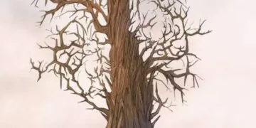 Seule une personne douée peut trouver les 3 lapins cachés à l'intérieur de cet arbre en 7 secondes !