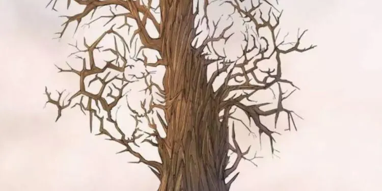 Seule une personne douée peut trouver les 3 lapins cachés à l'intérieur de cet arbre en 7 secondes !